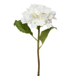 Claire Hydrangea Short Stem Cream (52cmH)