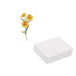 Classic Gift Card & Envelope Yellow Bloom Pk25 (6.5x10cmH)