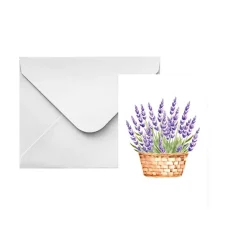 Classic Gift Card & Envelope Lavender Pk25 (6.5x10cmH)