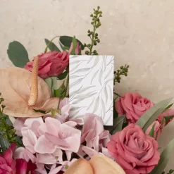 Classic Gift Card & Envelope Gum Leaves Pk25 (6.5x10cmH)