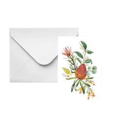 Classic Gift Card & Envelope Natives Pk25 (6.5x10cmH)