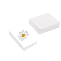 Classic Gift Card & Envelope Oh Daisy Pk25 (6.5x10cmH)