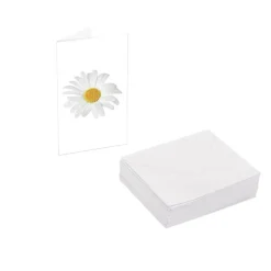 Classic Gift Card & Envelope Oh Daisy Pk25 (6.5x10cmH)