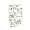 Classic Gift Card & Envelope Eucalyptus Pk25 (6.5x10cmH)
