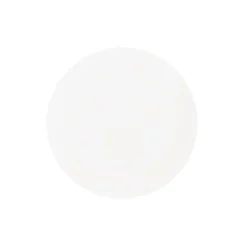 Clear Acrylic Plates Pack 2 (30cmDx0.03cmH)