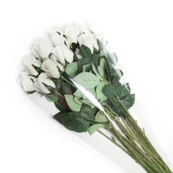 Clear Cello Sleeve V Shape OPP 40mic (30cmDx60cmH) Pack 50