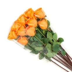 Clear Cello Sleeve V Shape CPP 30mic (20cmDx40cmH) Pack 50