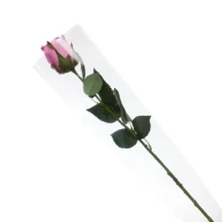 Clear Cello Sleeve V Shape OPP 48mic (14cmDx60cmH) Pack 50