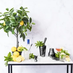 Cocktail Shaker 5PC Set Metallic Black