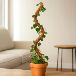 Coconut Fibre Bendable Pole Pack 2 Brown (91.5cmH)