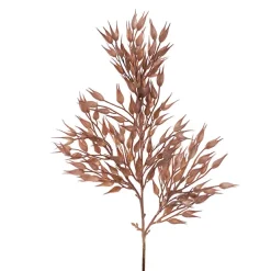 Coix Seed Grass Spray Almond (65cmH)