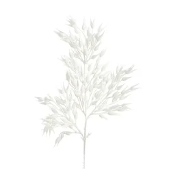 Coix Seed Grass Spray White (65cmH)