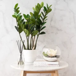 Coloured Sand Coarse Dyed White (760g Jar)