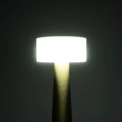 Cordless Designer LED Table Lamp Gold (21cmH)