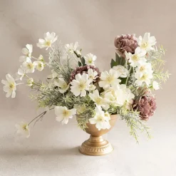 Cosmos Spray Cream (62cmH)