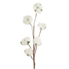 Cotton Branch 6 Heads White (Head Size 5cm x 85cmH)