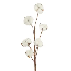Cotton Branch 6 Heads White (Head Size 5cm x 85cmH)