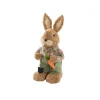 Country Male Bunny w Shovel & Carrot Green (38cmH)
