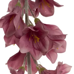Creeping Bellflower Dusty Pink (82cmH)