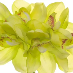 Cymbidium Orchid Bouquet Real Touch 6 Flowers Green (25cmH)