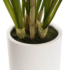 Cymbidium Orchid Real Touch 3Stem Potted Lemon White (81cmH)