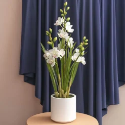 Cymbidium Orchid Real Touch 3Stem Potted Lemon White (81cmH)