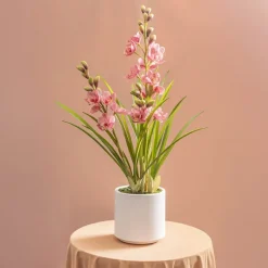 Cymbidium Orchid Real Touch 3 Stem Potted Pink (81cmH)