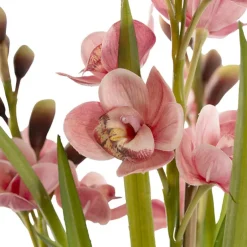 Cymbidium Orchid Real Touch 3 Stem Potted Pink (81cmH)