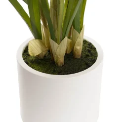 Cymbidium Orchid Real Touch 3 Stem Potted Pink (81cmH)