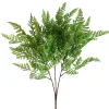 Cystopteris Moupinensis Franch Fern Spray Green (82cmH)