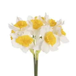 Daffodil Bunch x 9 Heads White (40cmH)