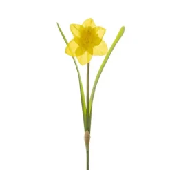 Daffodil Flower Stem Yellow (8.5cmDx36cmH)