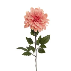 Dahlia Long Stem w Lge Flower Head Peach (19cmDx80cmH)