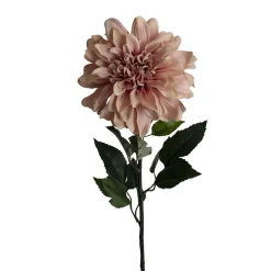 Dahlia Long Stem w Lge Flower Head Blush Pink (19cmDx80cmH)