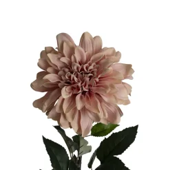 Dahlia Long Stem w Lge Flower Head Blush Pink (19cmDx80cmH)
