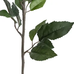 Dahlia Long Stem w Lge Flower Head Blush Pink (19cmDx80cmH)