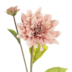 Dahlia Stem Blush Pink (53cmH)