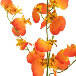 Dancing Lady Orchid Peach (81cmH)