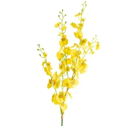Dancing Lady Orchid Yellow (89cmH)