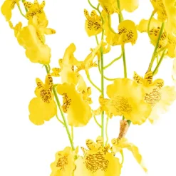 Dancing Lady Orchid Yellow (89cmH)