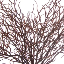 Deadwood Plant Bush Brown (32cmH)