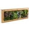 Decorative Succulent & Moss Wall Frame (80x30x7cm)