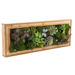 Decorative Succulent & Moss Wall Frame (80x30x7cm)