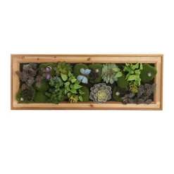 Decorative Succulent & Moss Wall Frame (80x30x7cm)