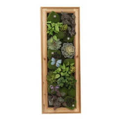 Decorative Succulent & Moss Wall Frame (80x30x7cm)