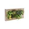 Decorative Succulent Arrangement Wall Frame (49.5x24.5x6cm)