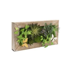 Decorative Succulent Arrangement Wall Frame (49.5x24.5x6cm)