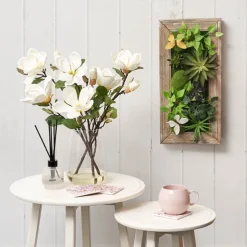 Decorative Succulent Arrangement Wall Frame (49.5x24.5x6cm)