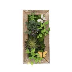 Decorative Succulent Arrangement Wall Frame (49.5x24.5x6cm)