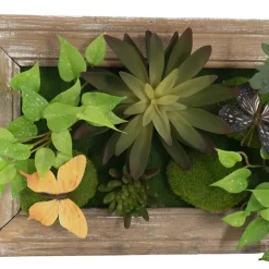 Decorative Succulent Arrangement Wall Frame (49.5x24.5x6cm)